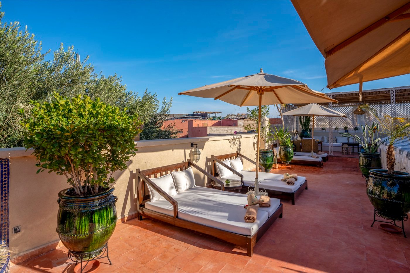 The rooftop terrace in full sun, with daybeds, parasols and olive trees